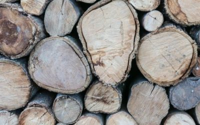 10 razloga za grijanje na drva: Prednosti korištenja kamina i peći na drva